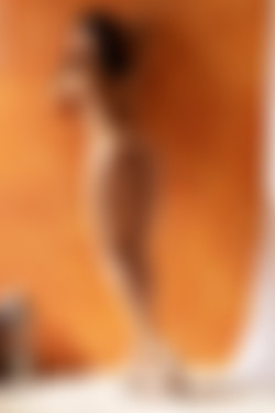 [photodromm.com] 2018-12/[photodromm.com] - 2018.12.31 - Supersize Selection Of Month (x14) 2666x4000/13.jpg