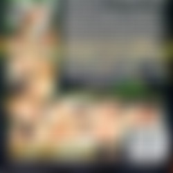 Pickup Lines 1,2,4,5,6,7,11 [7xDVD5]