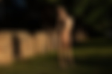 [PH] 2023-10/16 Shaky - The Long Shadows/18.jpg