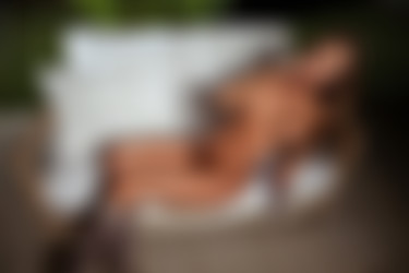 [photodromm.com] 2015-03/[photodromm.com] - 2015.03.12 - Dana - Night Time (x50) 1333x2000/35l.jpg