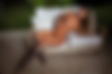 [photodromm.com] 2015-03/[photodromm.com] - 2015.03.12 - Dana - Night Time (x50) 1333x2000/37l.jpg