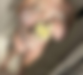 [OnlyFans.com] YourBigTiddiedLamb - SiteRip 8.1.2023/Photos/2635932809.jpg