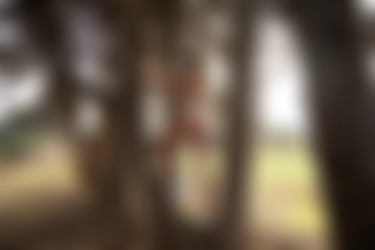 2022phdee/2022-01/[photodromm] 2022-01-24 Parker - Fresh Breeze II (x46, 3000 px)/Fresh Breeze II (11).jpeg