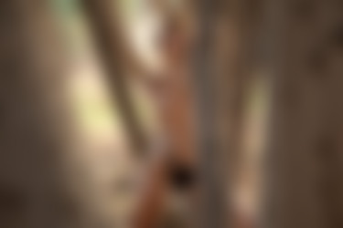 2022phdee/2022-01/[photodromm] 2022-01-24 Parker - Fresh Breeze II (x46, 3000 px)/Fresh Breeze II (24).jpeg