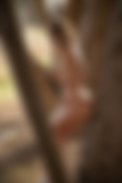 2022phdee/2022-01/[photodromm] 2022-01-24 Parker - Fresh Breeze II (x46, 3000 px)/Fresh Breeze II (32).jpeg