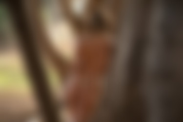 2022phdee/2022-01/[photodromm] 2022-01-24 Parker - Fresh Breeze II (x46, 3000 px)/Fresh Breeze II (33).jpeg