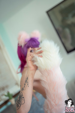 Nanakuroi/2020-04-26 Kink Kitty/25.jpg