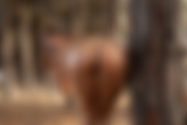 [PHD] 2024-12/22 Jenielou - WoodLand 2/24l.jpg