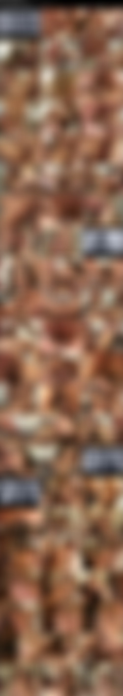 Gangbang Auditions 10 [60fps]/Cover and Screens/Gangbang Auditions 10.jpeg