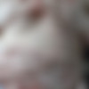 Slust (SuicideGirls.com)/Slust - Vanilla (Aug 18, 2019) x49 - 5760x3840 px
