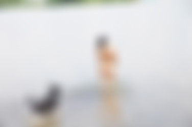 Ally & Nikol/ally_nikol_series2_3000/ally_nikol0690.jpg