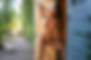 [photodromm.com] 2018-01/[photodromm.com] - 2018.01.24 - Justyna - Rules II (x50) 2000x3000/42l.jpg