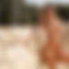 [photodromm.com] 2016-10/[photodromm.com] - 2016.10.22 - Claudia - The Golden Girl (x50) 2000x3000