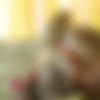 TigerrJuggs.com/Galleries/Cock Bondage
