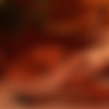 photodromm.com - 2013-01/karmen - 01 - spanish fly