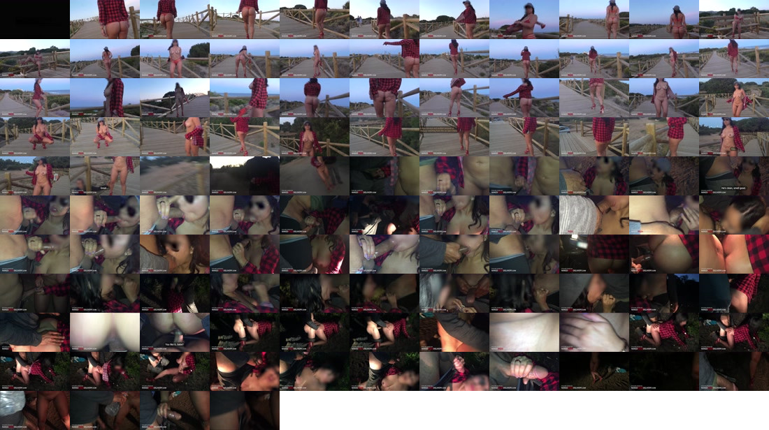 nakedpizzadelivery/Astrid/Astrid-Finds-New-Stranger-to-Fuck.mp4